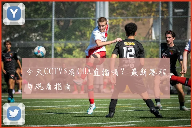 今天CCTV5有CBA直播吗？最新赛程与观看指南