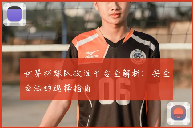 世界杯球队投注平台全解析：安全合法的选择指南