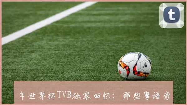 年世界杯TVB独家回忆：那些粤语旁述的激情夜晚