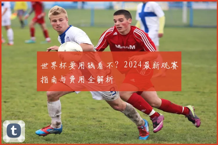 世界杯要用钱看不？2024最新观赛指南与费用全解析
